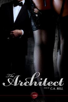 The Architect The Architect