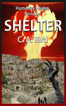 Shelter Shelter