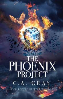 The Phoenix Project (The Liberty Box Book 3)