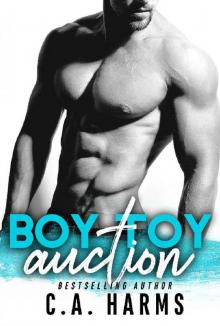 Boy Toy Auction Boy Toy Auction