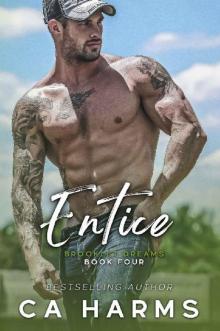 Entice (Brooklet Dreams Book 4)