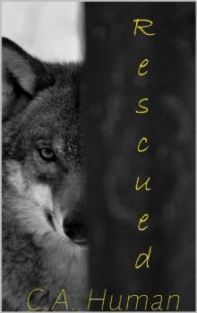 Rescued (A Charlie Hunter Novel Book 1)