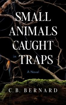 Small Animals Caught in Traps Small Animals Caught in Traps