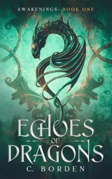 Echoes of Dragons Echoes of Dragons