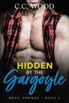 Hidden by the Gargoyle (Devil Springs Book 3)