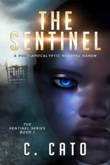 The Sentinel The Sentinel