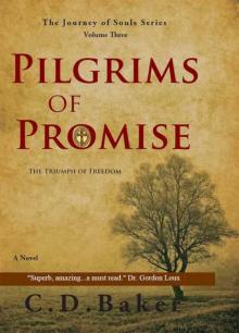 Pilgrims of Promise: A Novel