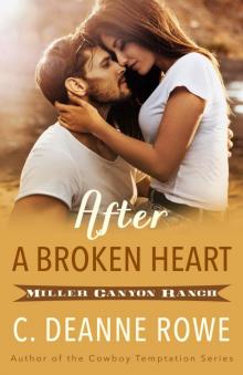 After a Broken Heart After a Broken Heart