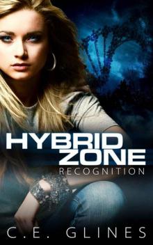 Hybrid Zone Recognition Hybrid Zone Recognition