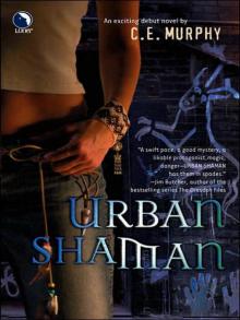 Urban Shaman