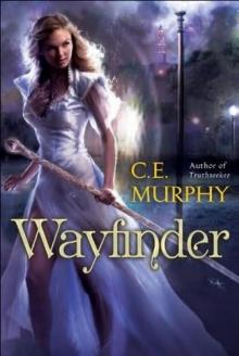 Wayfinder w-2