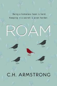 Roam Roam