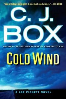Cold Wind jp-11