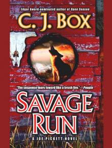 Savage Run jp-2
