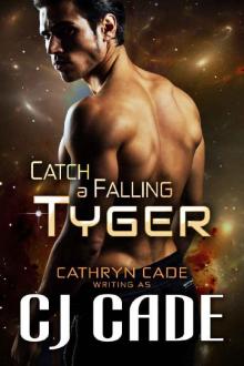 Catch a Falling Tyger Catch a Falling Tyger