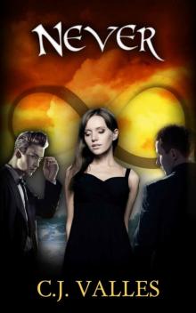 Never (The Ever Series Book 2) Never (The Ever Series Book 2)