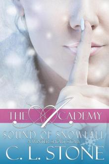 The Academy--Sound of Snowfall The Academy--Sound of Snowfall