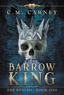 Barrow King: The Realms Book One (A LitRPG Adventure)