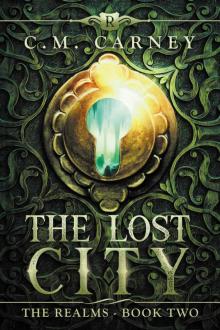 The Lost City_An Epic LitRPG Adventure