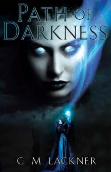 Path of Darkness (Memories of Madness Book 1)