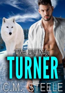 Turner Turner