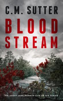 Blood Stream Blood Stream