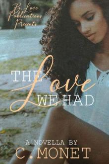 The Love We Had The Love We Had