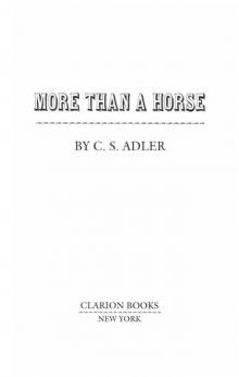 More Than a Horse More Than a Horse