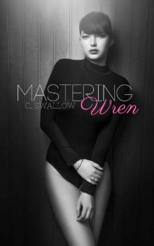 Mastering Wren (Melbourne Love Book 1)