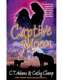 Captive Moon Captive Moon