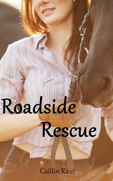 Roadside Rescue