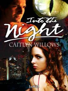Into the Night [Into the Heart 2]