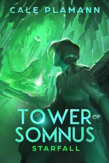 Starfall: A LitRPG Adventure (Tower of Somnus Book 3) Starfall: A LitRPG Adventure (Tower of Somnus Book 3)