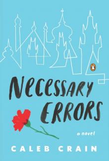 Necessary Errors: A Novel