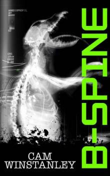 B-spine B-spine