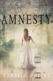 Amnesty: Amnesia Duet Book 2