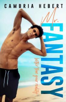 Mr. Fantasy: (A standalone romance)
