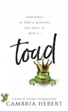 Toad : A Public Enemy Standalone