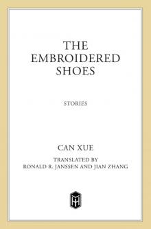 The Embroidered Shoes