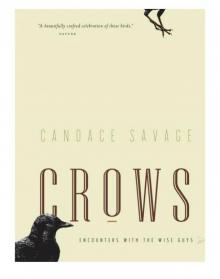 Crows