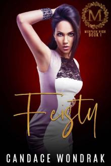 Feisty: A High School Bully Romance (Midpark High Book 1)
