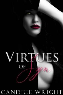 Virtues of Syn: A Phoenix Project Novel (The Phoenix Project Duet) Virtues of Syn: A Phoenix Project Novel (The Phoenix Project Duet)