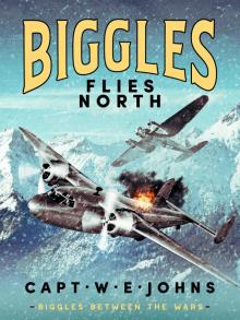 Biggles Flies North