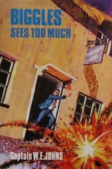 Biggles Sees Too Much