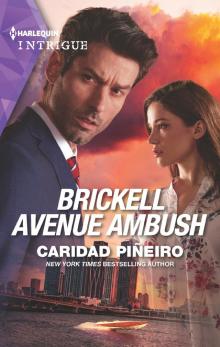 Brickell Avenue Ambush Brickell Avenue Ambush