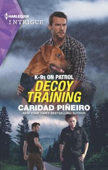 Decoy Training Decoy Training