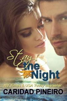 Stay the Night: A Navy Seal Erotic Romance (Take a Chance Book 4) Stay the Night: A Navy Seal Erotic Romance (Take a Chance Book 4)