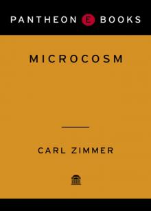 Microcosm Microcosm