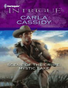 Scene of the Crime: Mystic Lake