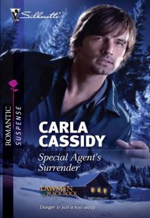 Special Agent's Surrender Special Agent's Surrender